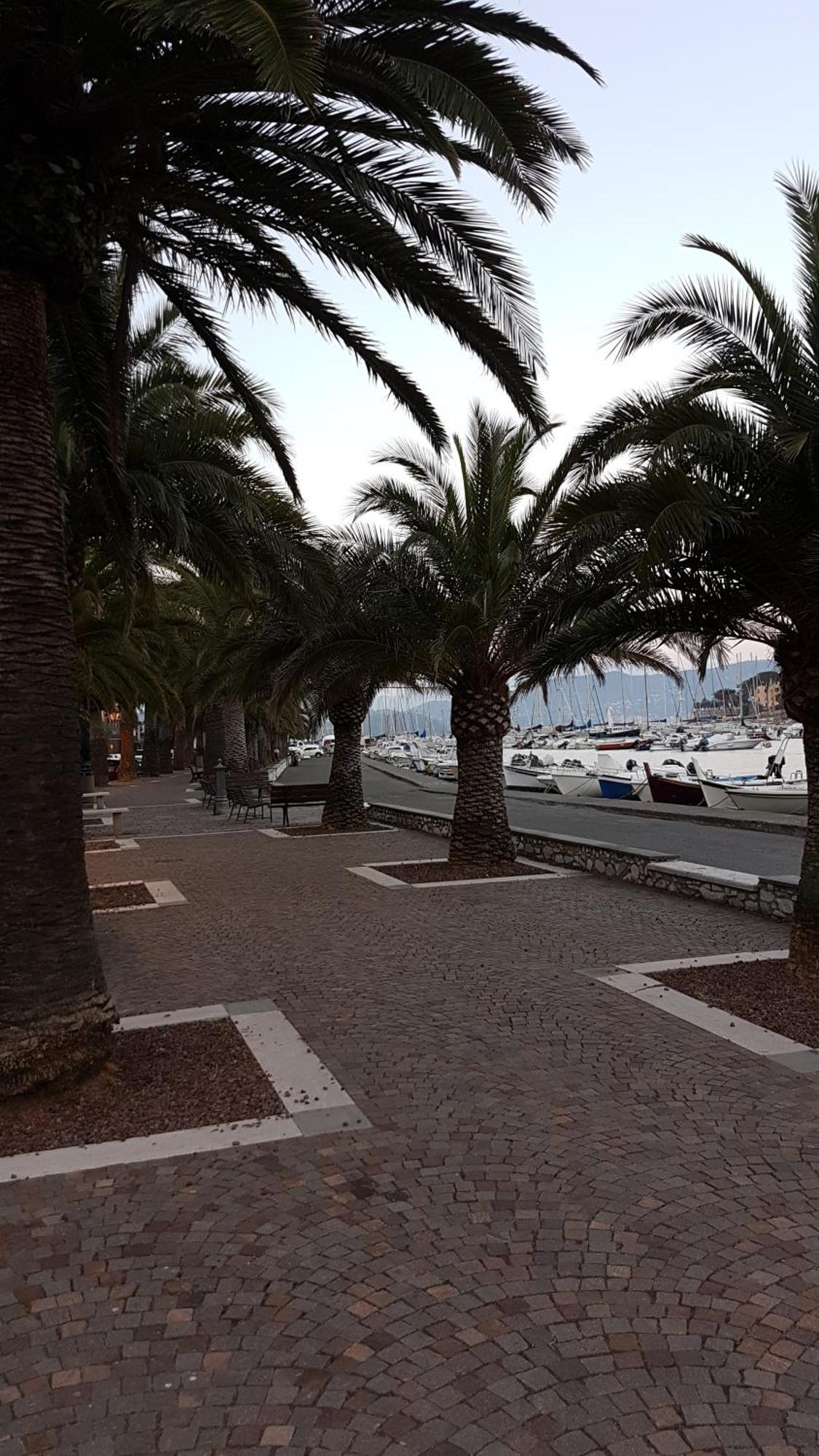 Apartament La Stanzetta Dei Rosa Porto Venere Zewnętrze zdjęcie